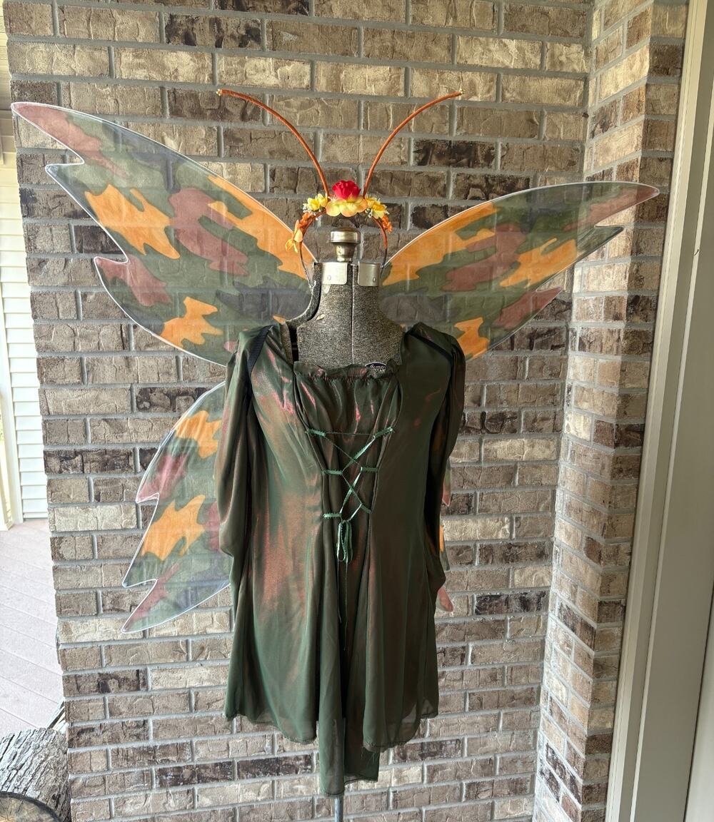 ADULT Handmade Renaissance Gown Medieval Fairy Dress Autumn Fantasy Costume Wing